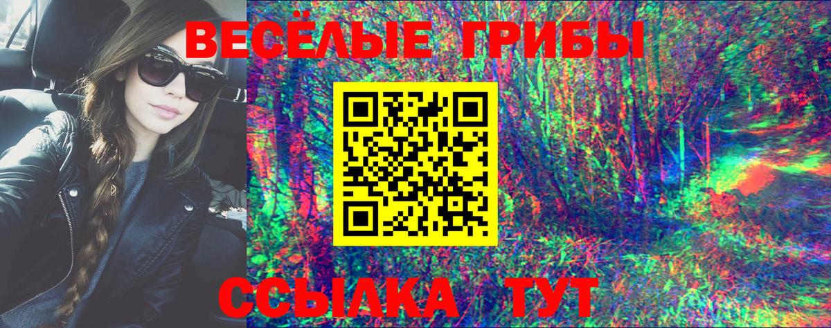 Галлюциногенные грибы прущие грибы Ейск