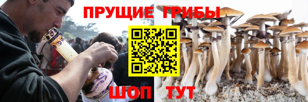 Ейск  Псилоцибиновые грибы Magic Shrooms  Вход с VPN 